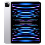 iPad Pro (2022, M2 series)